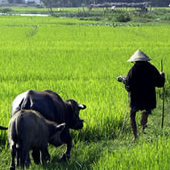 Aksios laos